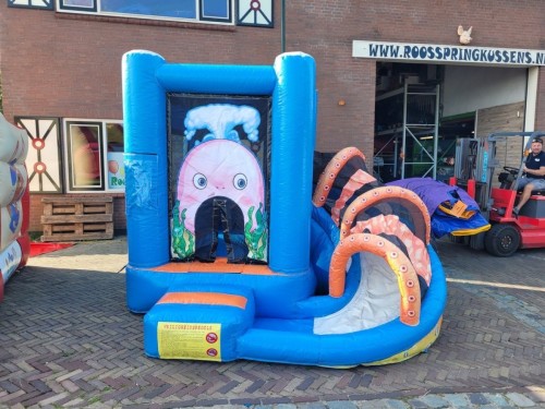 Springkussen Mini walvis met slide